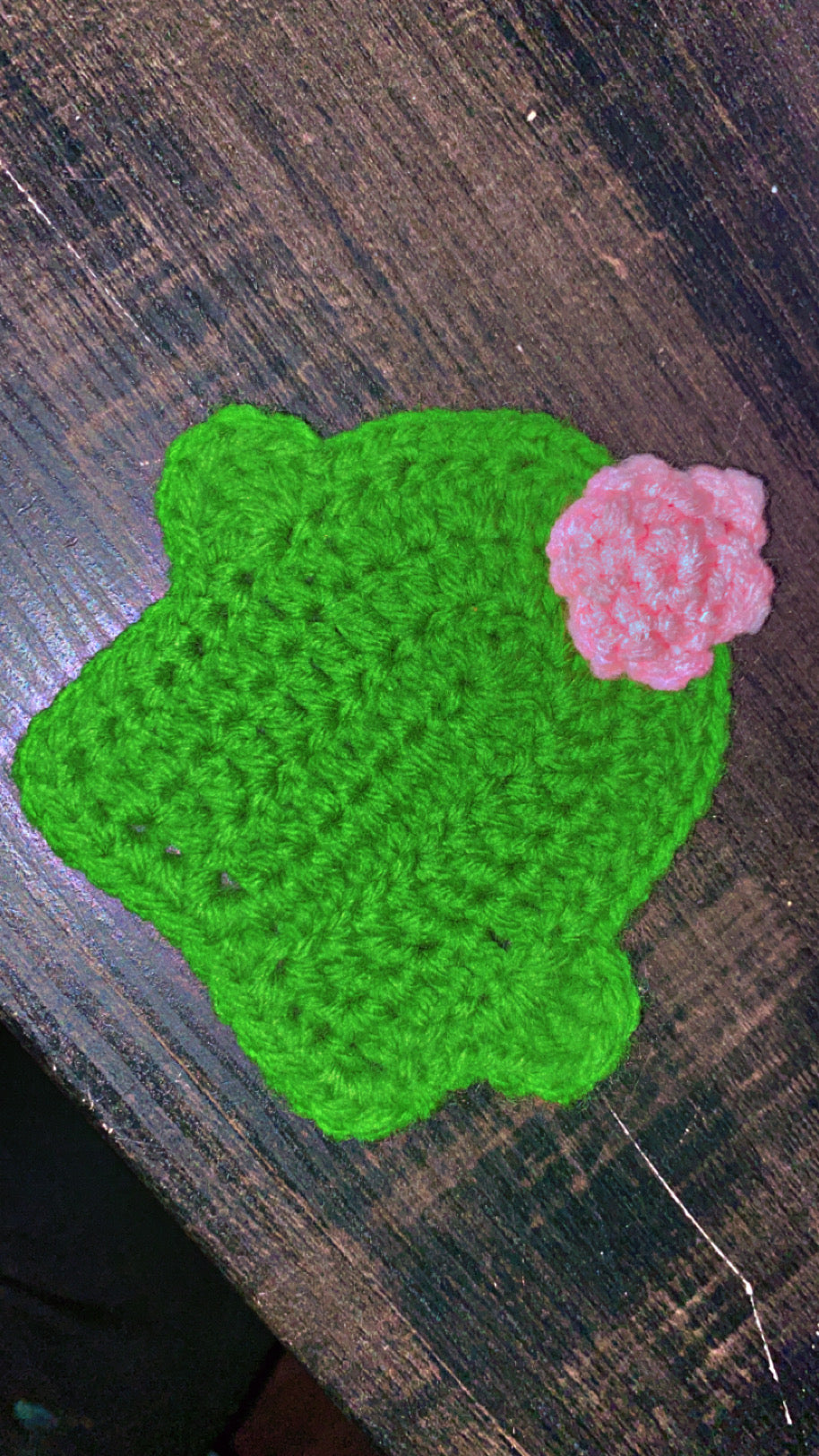 Cactus Crochet Coaster Set of 4
