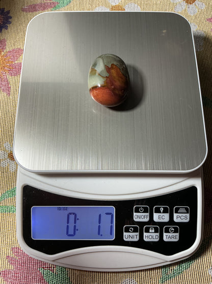 Polychrome Jasper