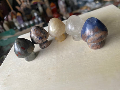 5 Assorted Mushroom Carvings